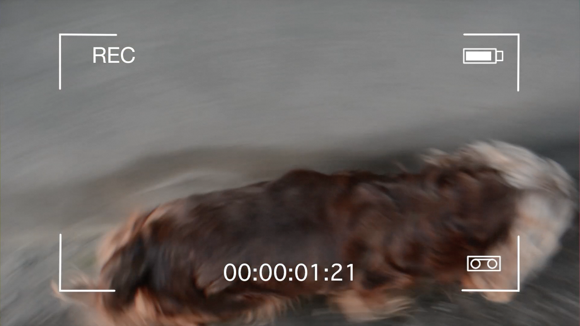 Efecto Filmadora (Sony vegas Pro 11 y FCPX 10)